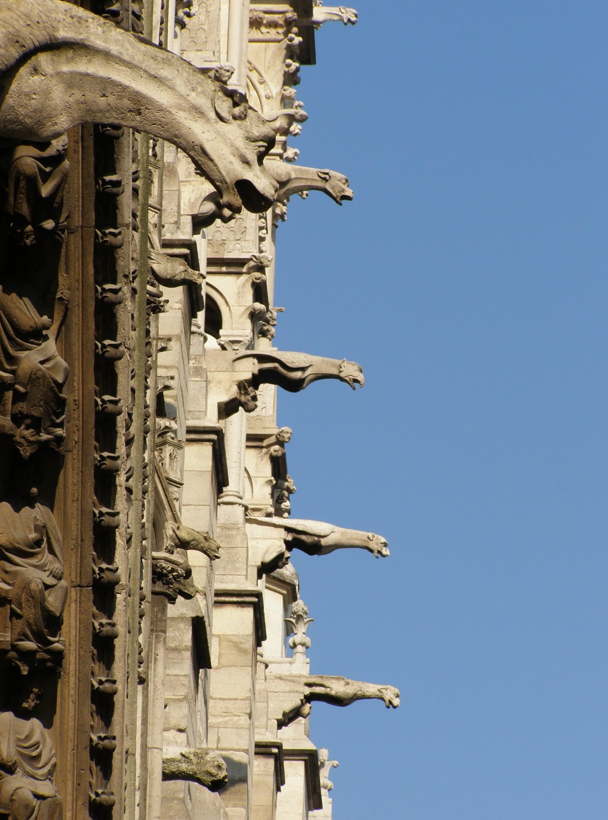 La+cattedrale+Notre-Dame-1163-1345 (59).JPG